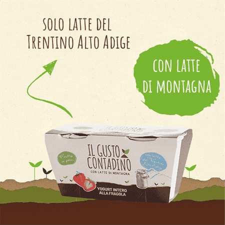 <strong>YOGURT INTERO</strong><br>ALLA FRAGOLA