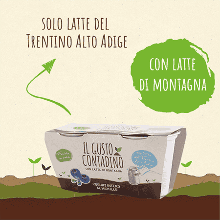 <strong>YOGURT INTERO</strong><br>AL MIRTILLO