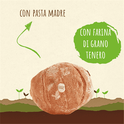 <strong>PAGNOTTA</strong>