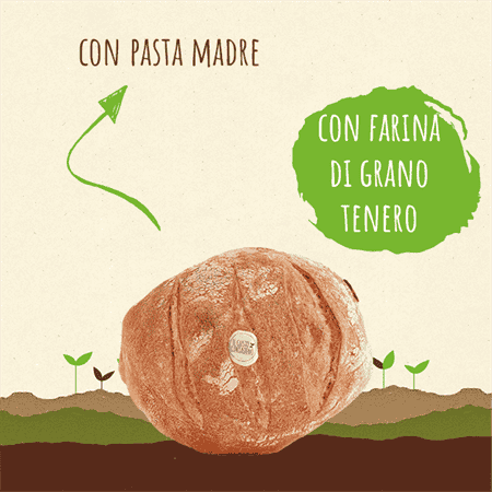 <strong>PAGNOTTA</strong>