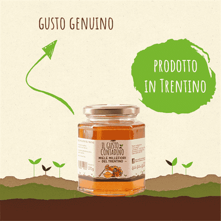<STRONG>MIELE MILLEFIORI</STRONG><BR>DEL TRENTINO