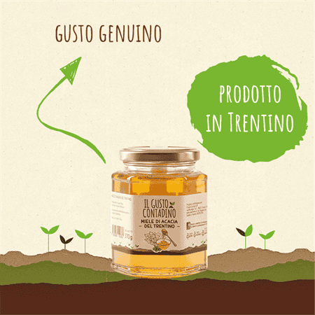 <STRONG>MIELE DI ACACIA</STRONG><BR>DEL TRENTINO