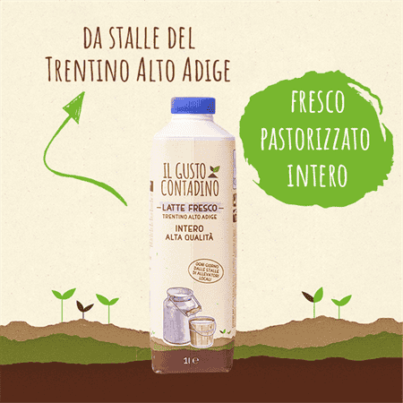 <strong>LATTE FRESCO INTERO</STRONG><BR>DEL TRENTINO ALTO ADIGE